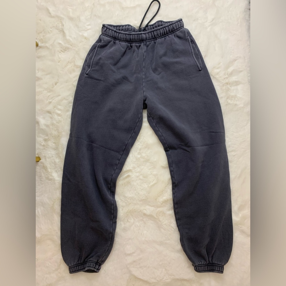 Aritzia Cozy Fleece Sweatpants